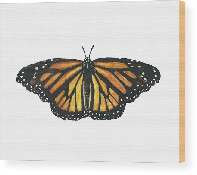 Monarch Wood Print featuring the painting Monarch Butterfly by Pamela Schwartz