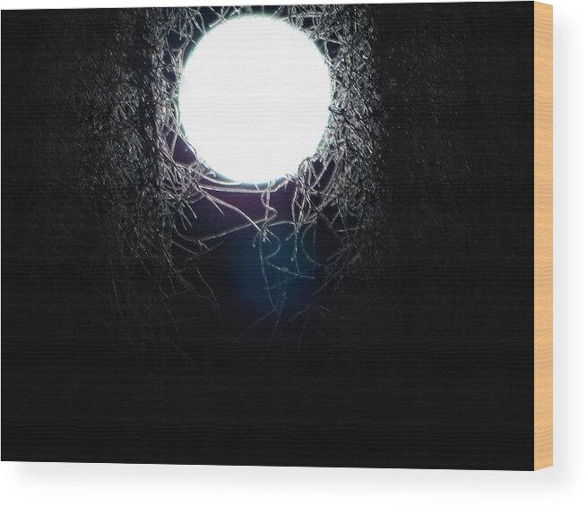 Abstract Wood Print featuring the photograph Moon Light by Gena Herro