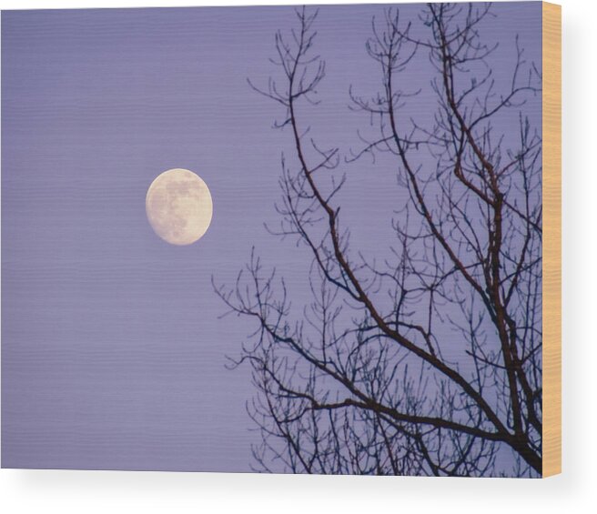 Full Moon Wood Print featuring the photograph January Moonshine by Susie Loechler