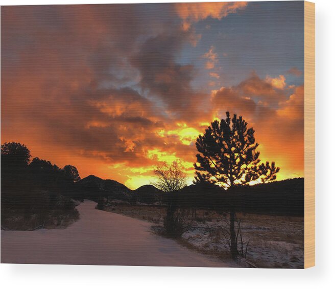 Moraine Park Wood Print featuring the photograph Morning At Moraine by Shane Bechler