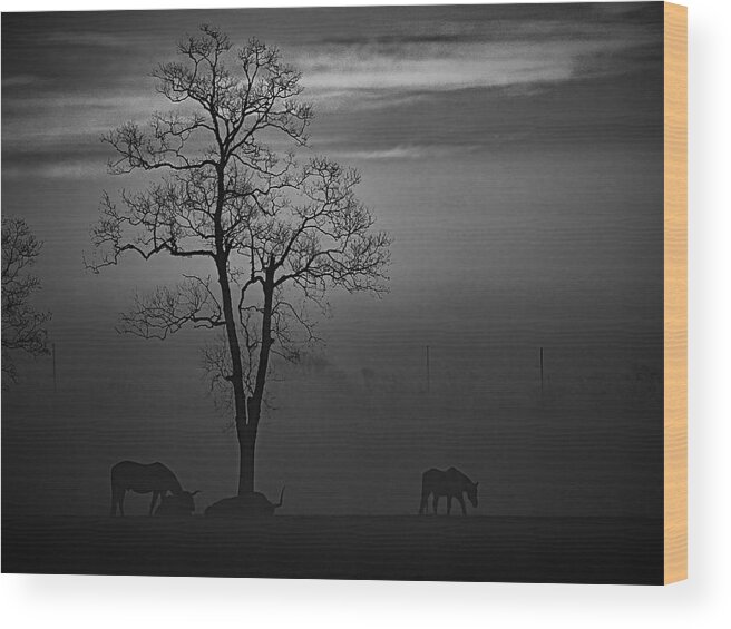 Bnw Wood Print featuring the photograph Morning Fog by Jerry Connally