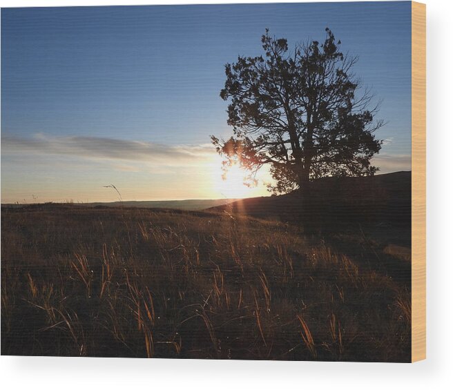 Sunrise Wood Print featuring the photograph Morning Light by Amanda R Wright