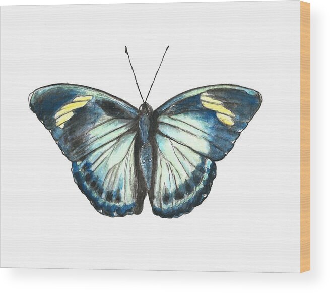 Butterfly Wood Print featuring the painting Morpho Butterfly by Pamela Schwartz