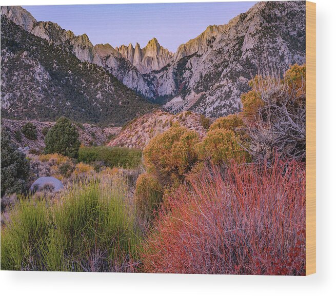 Tim Fitzharris Wood Print featuring the photograph Mount Whitney, Sequoia National Park Inyo, National Forest, California, USA by Tim Fitzharris