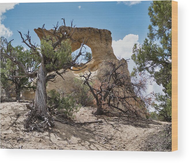 Landscapes Wood Print featuring the photograph Natural Arch by Segura Shaw Photography
