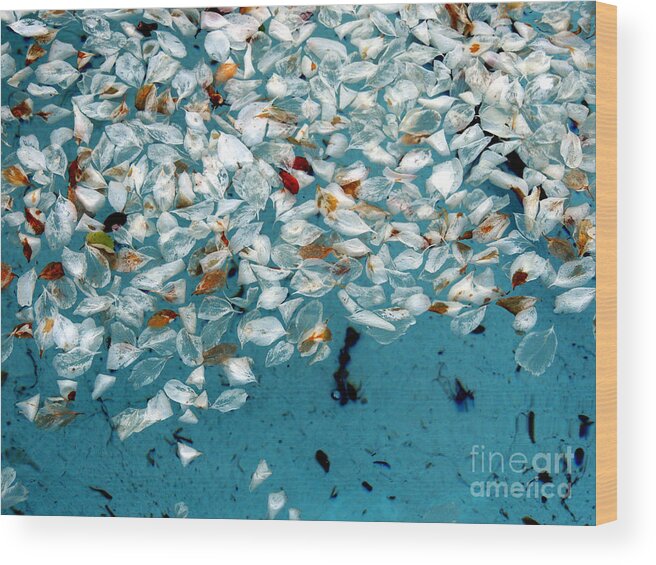 Simplify Structures Wood Print featuring the photograph Nature's Abstract #2 by Marcia Lee Jones