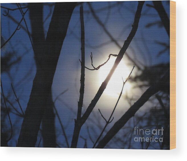 Nature Wood Print featuring the photograph Night Hues by Mary Mikawoz