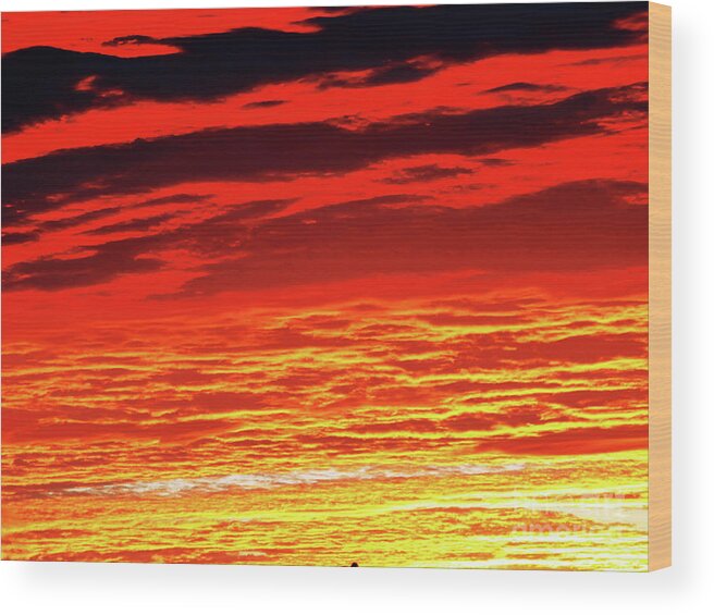 Sunset Wood Print featuring the photograph No-Glow Sunset by Rick Locke - Out of the Corner of My Eye