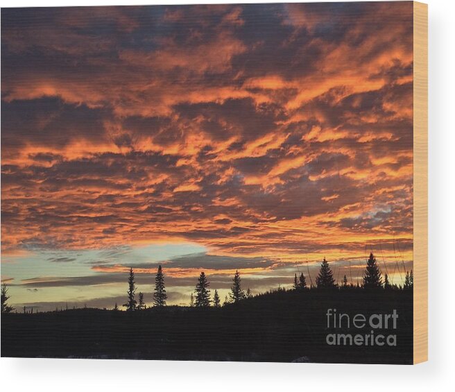 Chilcotin Plateau Wood Print featuring the photograph November Sunset by Nicola Finch