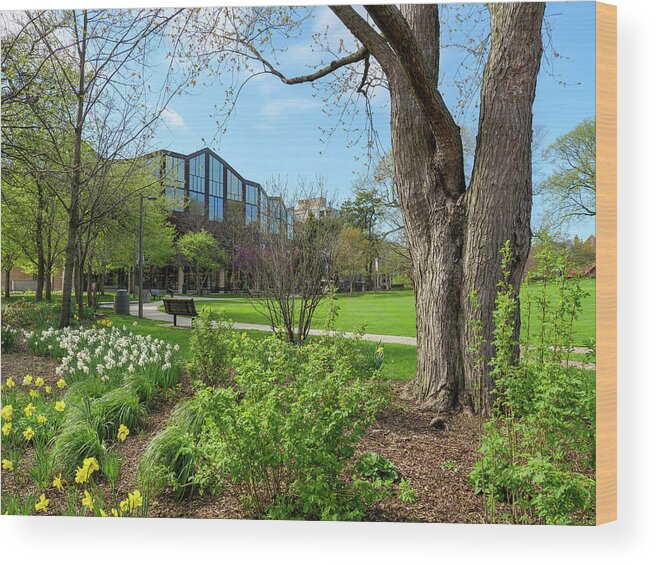 Chicagoland Wood Print featuring the photograph Oak Park Library and Scoville Park 1 by Todd Bannor