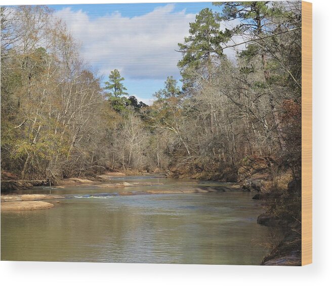 Ocmulgee River Wood Print featuring the photograph Ocmulgee River Bars by Ed Williams
