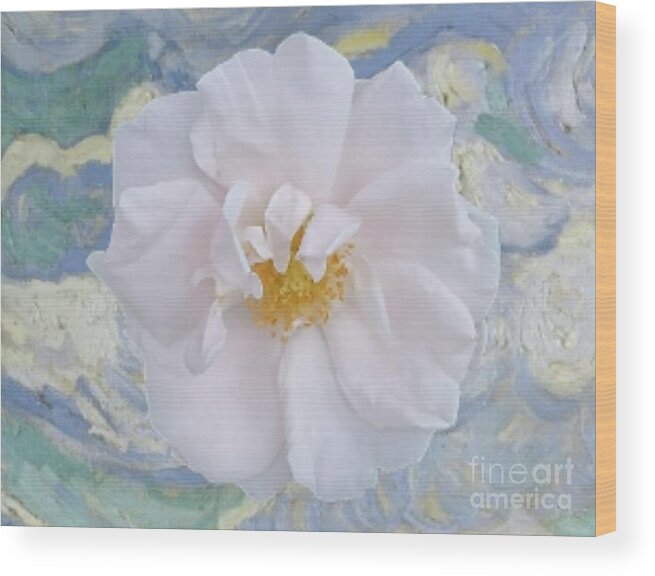 Art Wood Print featuring the photograph Old Fashioned White Rose by Jeannie Rhode