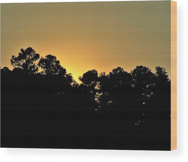 Gold Wood Print featuring the photograph Opposites by Ed Williams