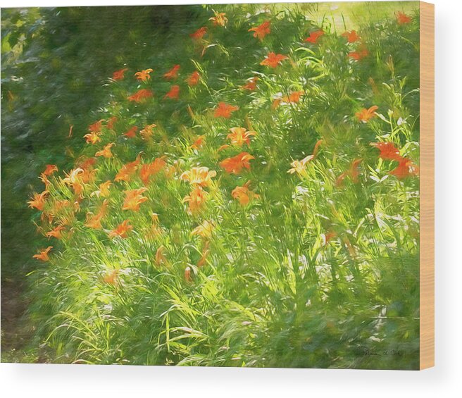 Daylilies In The Sun Wood Print featuring the photograph Daylilies In The Sun by Bellesouth Studio