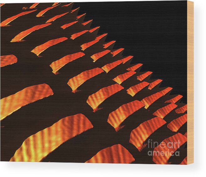 Scales Wood Print featuring the digital art Orange Reptile Scales by Phil Perkins