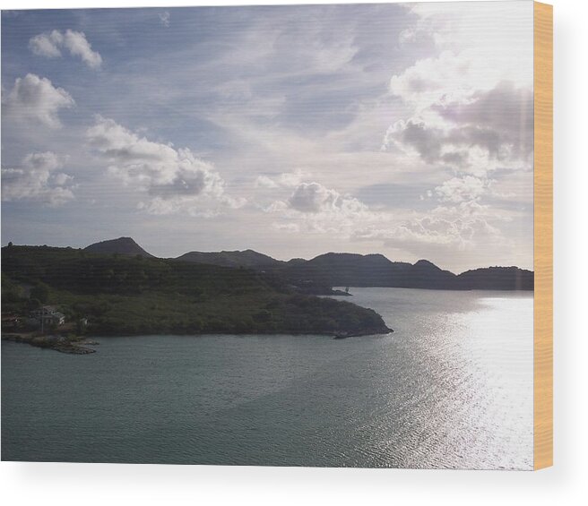 Landscape Wood Print featuring the photograph Overlooking the Island by Michelle Miron-Rebbe