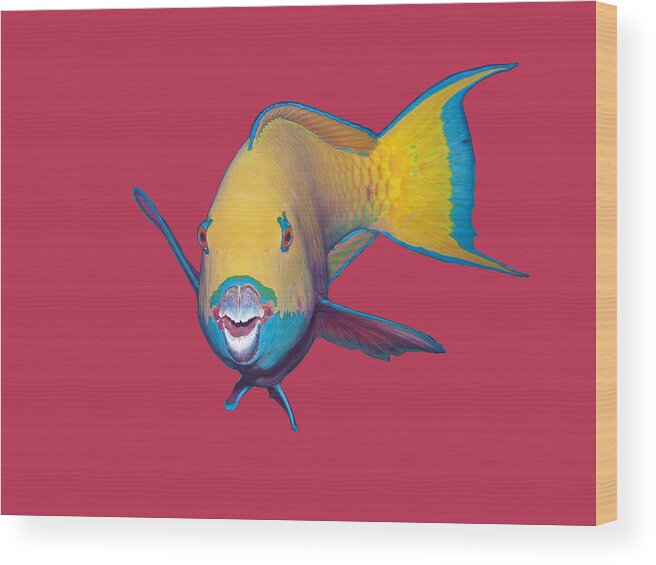 Heavybeak Parrotfish Wood Print featuring the mixed media Parrotfish - Eye catching make up on Viva Magenta-Background - by Ute Niemann