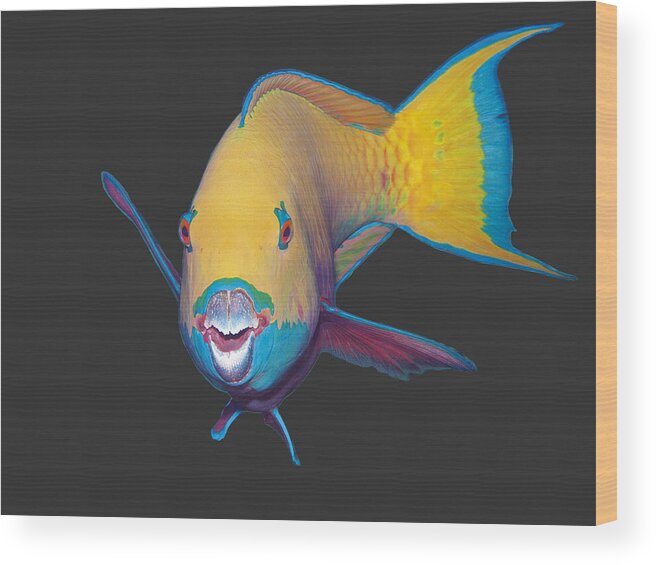 Heavybeak Parrotfish Wood Print featuring the mixed media Parrotfish - Eye catching make up on dark background - by Ute Niemann