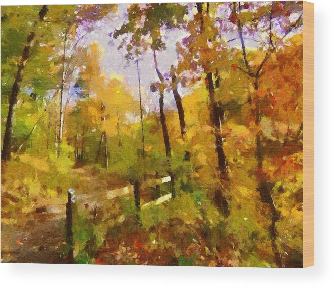 Autumn Wood Print featuring the mixed media Path into November by Christopher Reed