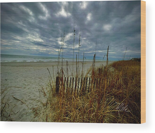 Pawley's Island Wood Print featuring the photograph Pawley's Island by Meta Gatschenberger