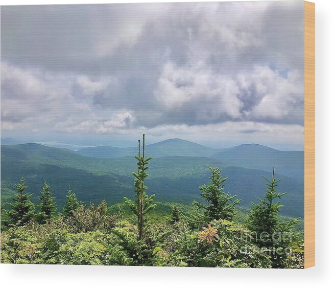 #catskills Wood Print featuring the photograph Peekamoose Summit View by Cornelia DeDona