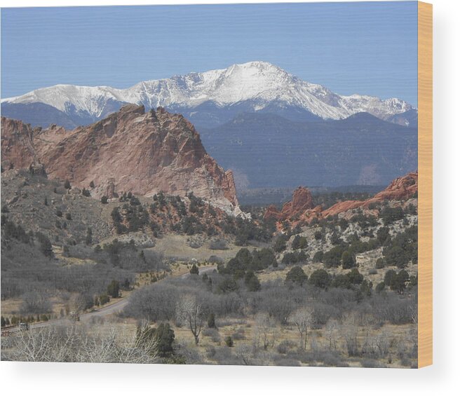 Garden Of The Gods Wood Print featuring the photograph Pikes Peak by Julie Grace