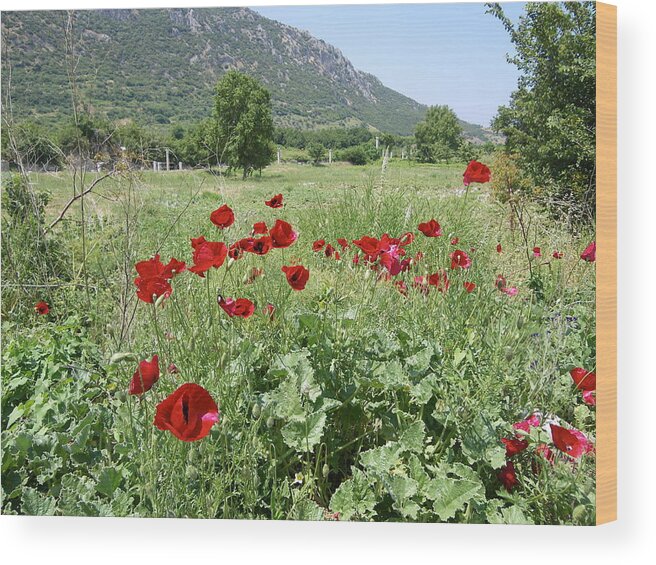Turkey Wood Print featuring the photograph Poppies in Ephesus by Lisa Mutch