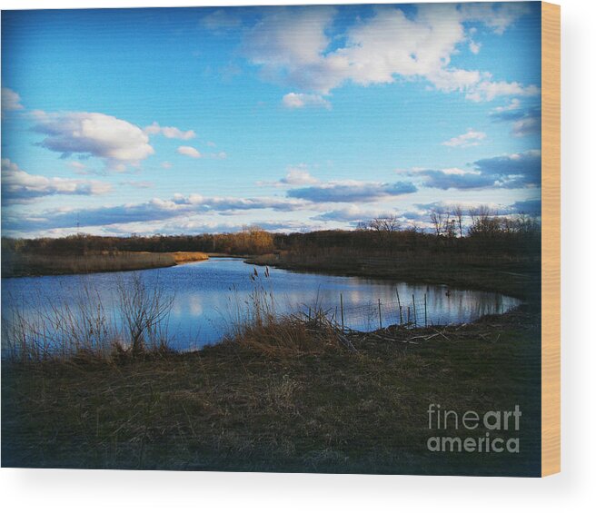 Nature Wood Print featuring the photograph Prairie Lake Golden Hour Reflection by Frank J Casella