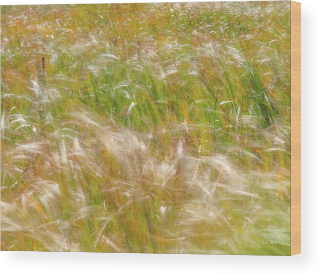 Nature Wood Print featuring the photograph Prairie Wind Textures 15 by Leland D Howard
