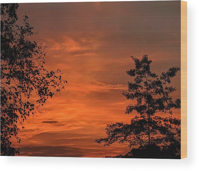 Wood Print featuring the photograph Pre-Dawn in the Neighborhood by Brad Nellis