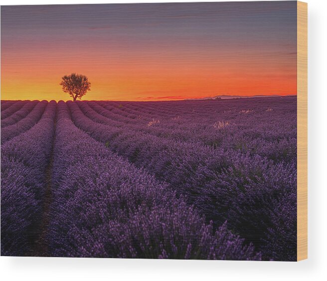 Aix-en-provence Wood Print featuring the photograph Provence Sunset by Serge Ramelli