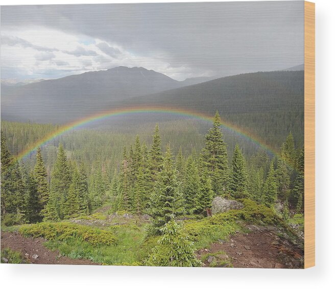 Rainbow Wood Print featuring the photograph Rainbow in the Valley by Aaron Spong