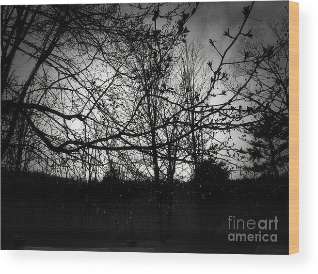Branches Wood Print featuring the photograph Raindrops in the Dark by Onedayoneimage Photography