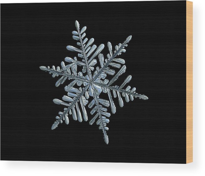 Snowflake Wood Print featuring the photograph Real snowflake 2018-12-18_6b by Alexey Kljatov