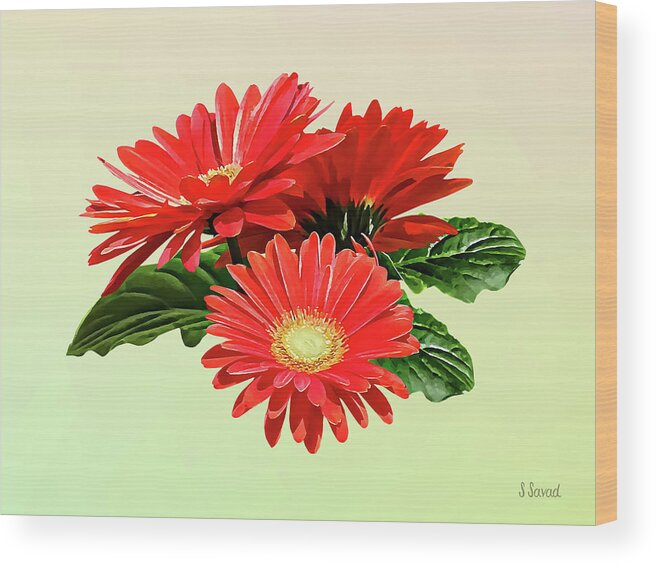 Daisy Wood Print featuring the photograph Red Gerbera Daisy Trio by Susan Savad