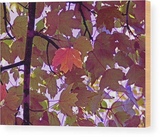 Memphis Wood Print featuring the digital art Red Leaves On Purple by David Desautel