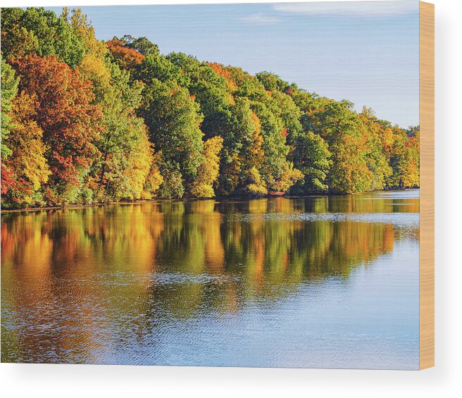 Fall Wood Print featuring the photograph Reflecting on Fall by Marianne Campolongo