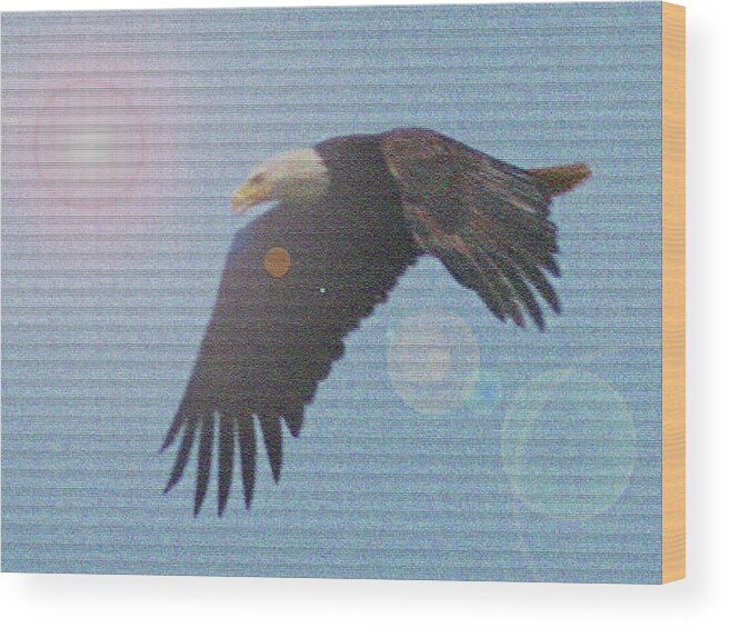 America Wood Print featuring the digital art Reflective Eagle by David Desautel