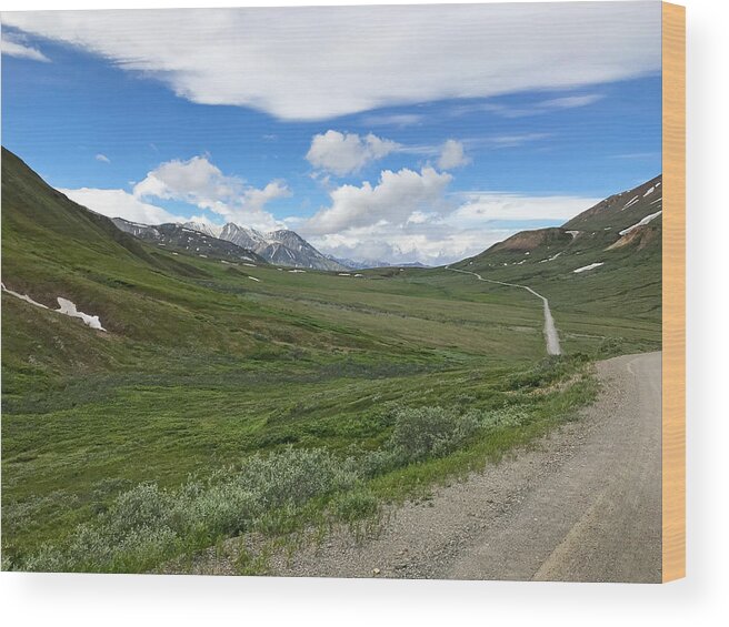 Road Wood Print featuring the photograph Road to McKinley by Ed Stokes
