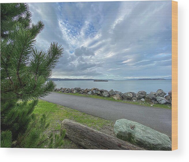 Sea Wood Print featuring the photograph Road to sea by Anamar Pictures