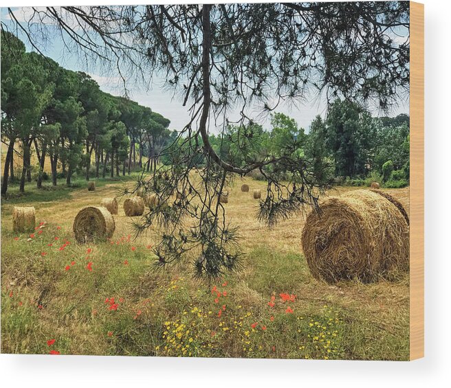 Rome Wood Print featuring the photograph Roman Countryside by Jill Love