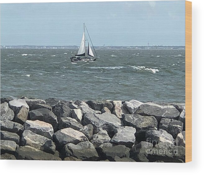 Fort Monroe Wood Print featuring the photograph Sailing at Fort Monroe by Catherine Wilson