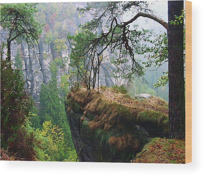 Saxony Wood Print featuring the digital art Saxon Switzerland Rock Face in Germany by Peter Kraaibeek