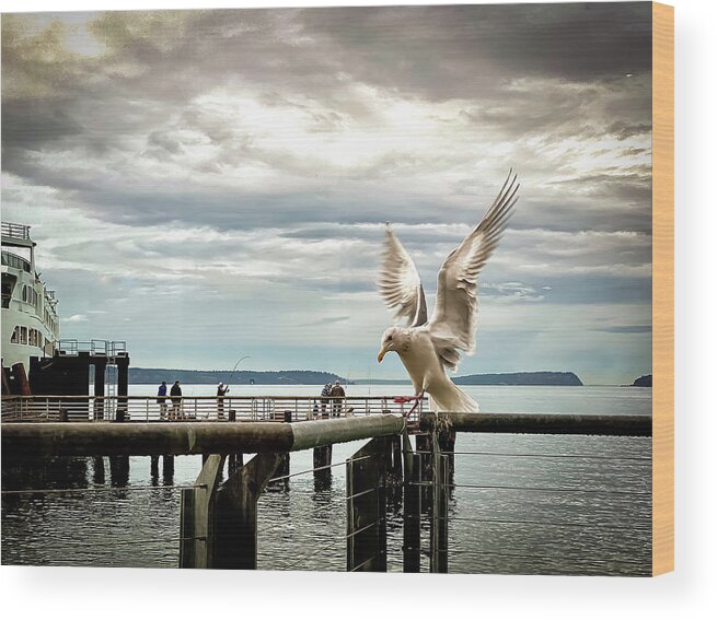Seabird Wood Print featuring the photograph Seagull's landing by Anamar Pictures