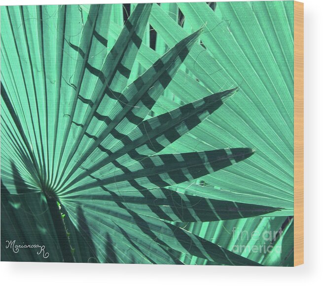 Nature Wood Print featuring the photograph Shadows on Palm Leaves by Mariarosa Rockefeller