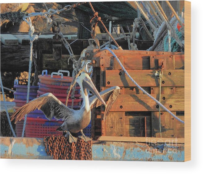 Pelicans Wood Print featuring the photograph Shem Creek Pelican by Scott Cameron
