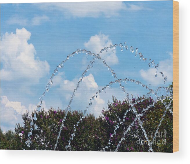 Garden Wood Print featuring the photograph Sky and Water Stopped In Motion by Amy Dundon