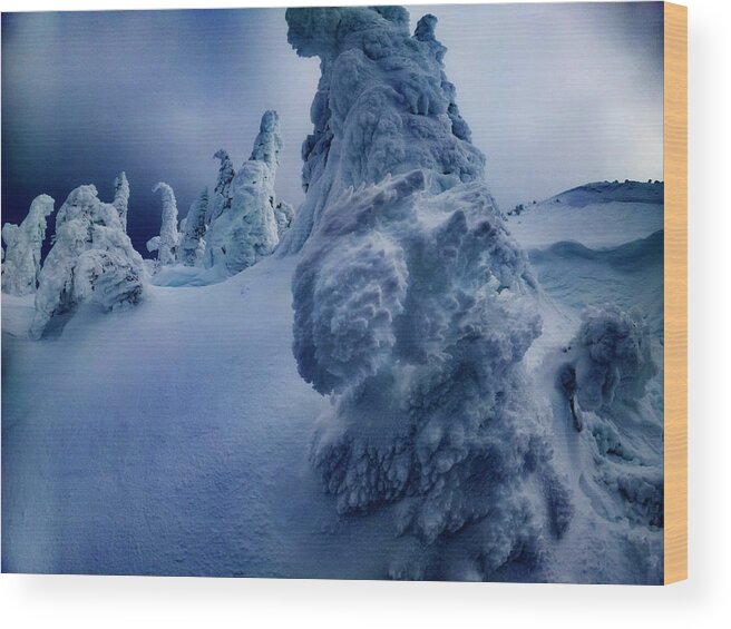 Tree Wood Print featuring the photograph Snow Covered Trees 5 by Pelo Blanco Photo