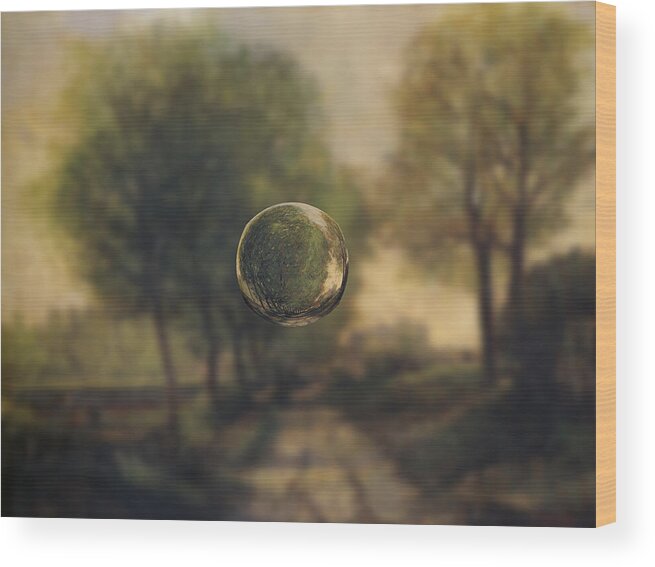 Alfred Sisley Wood Print featuring the digital art Sphere 20 Sisley by David Bridburg