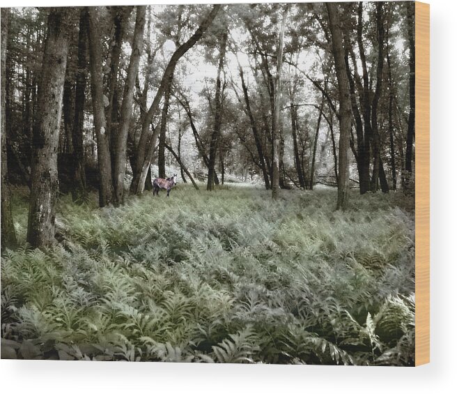 Spring Wood Print featuring the photograph Spirit Pony in a Floodplain Fernwood by Wayne King